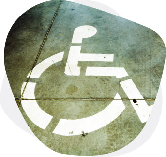 Enable New Zealand | Case Studies | B2BE Resources | Supply Chain Management Solutions